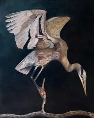 "Luna" Heron Art Print