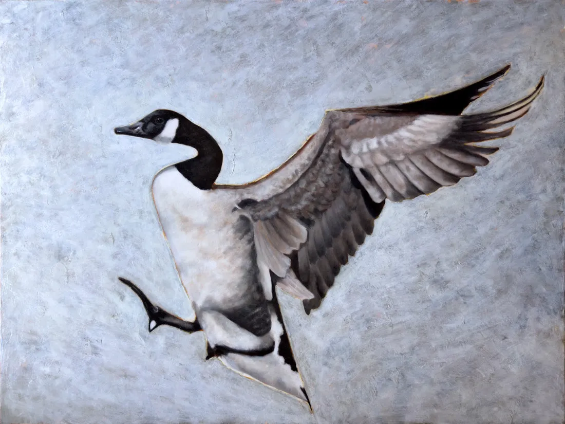 "Luz" Goose Art Print