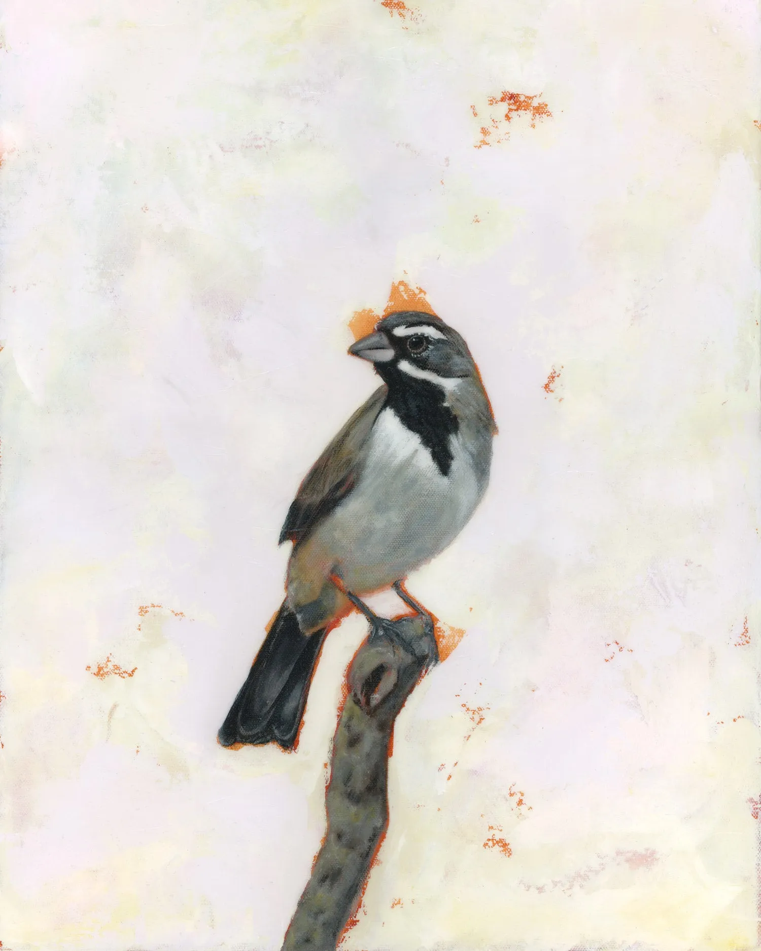 "Pathfinder" Black-Throated Sparrow Art Print
