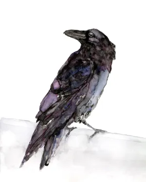 "Raven" Watercolor Art Print