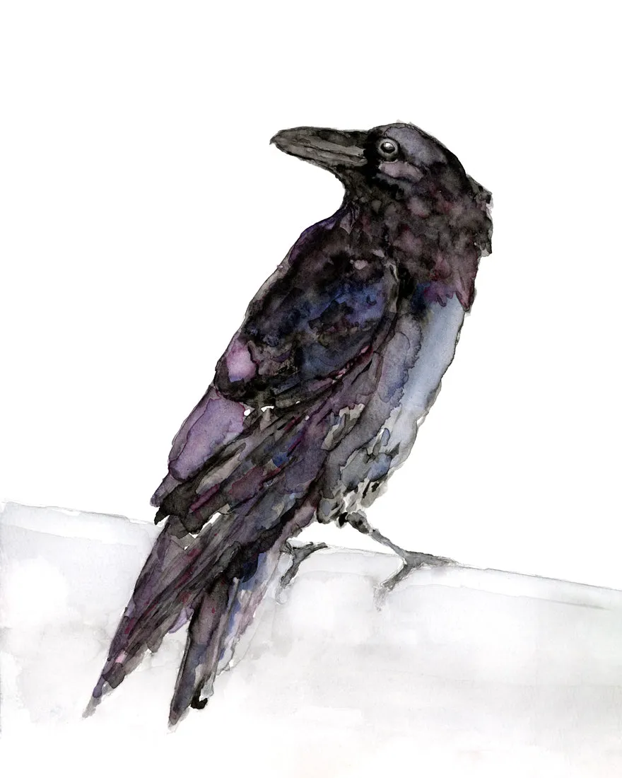 "Raven" Watercolor Art Print