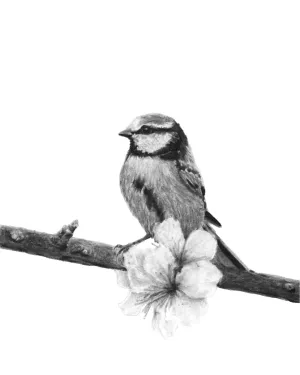 "Songbird" Charcoal Art Print