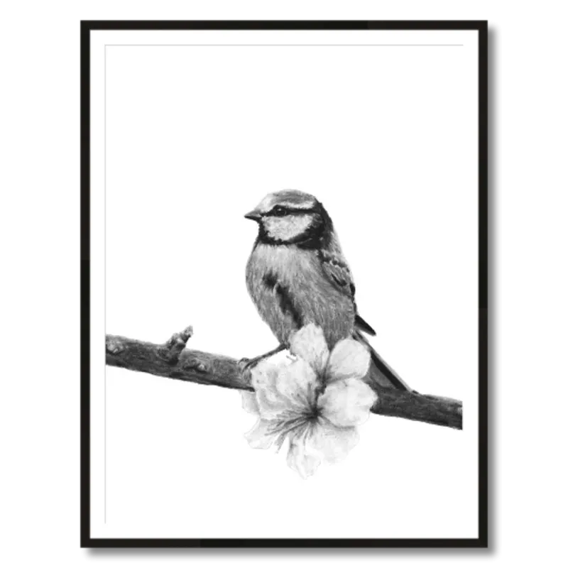 "Songbird" Charcoal Art Print
