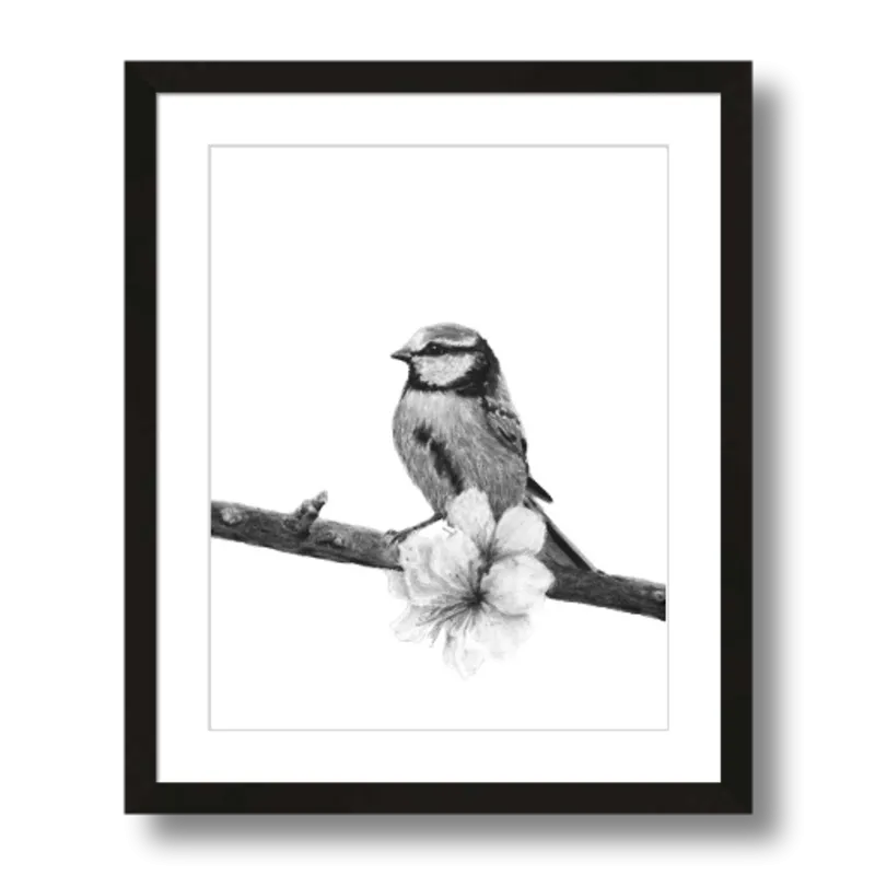 "Songbird" Charcoal Art Print