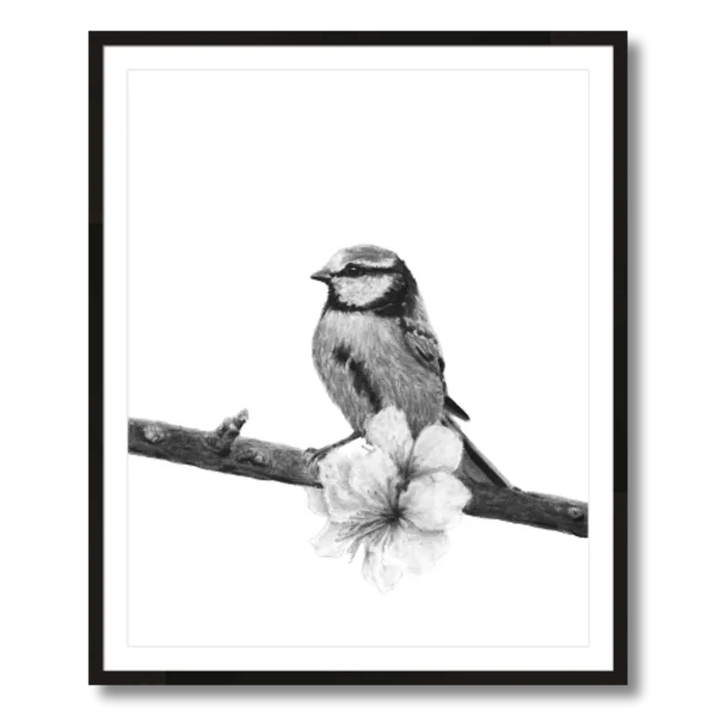 "Songbird" Charcoal Art Print