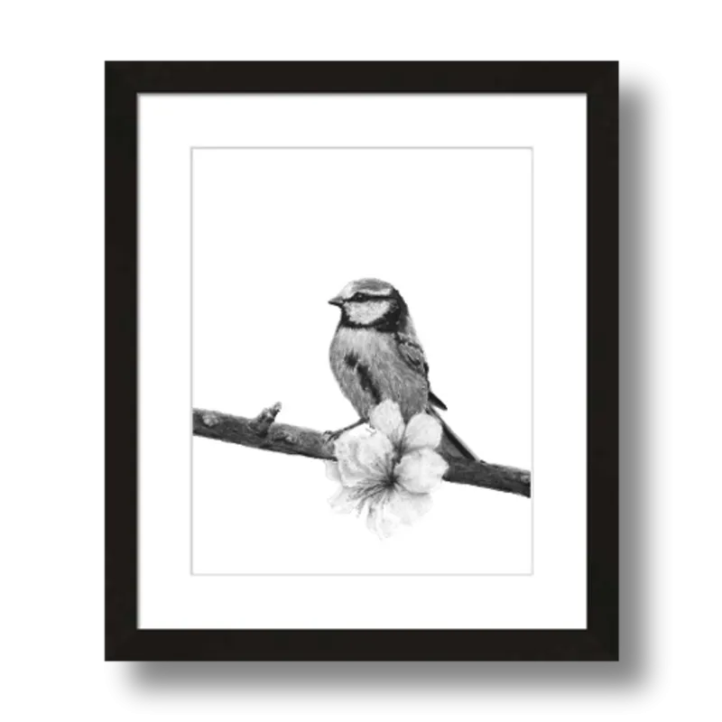 "Songbird" Charcoal Art Print