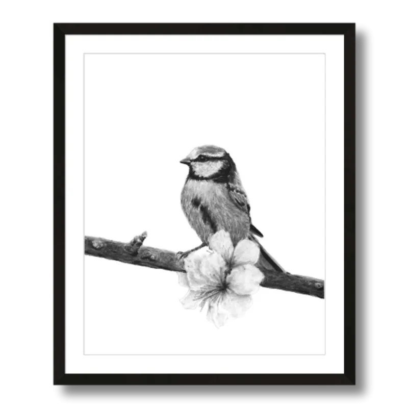 "Songbird" Charcoal Art Print