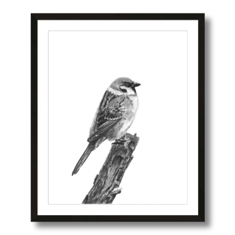 "Sparrow" Charcoal Art Print