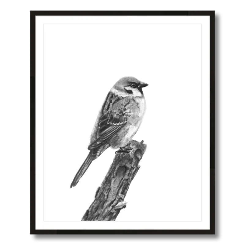 "Sparrow" Charcoal Art Print