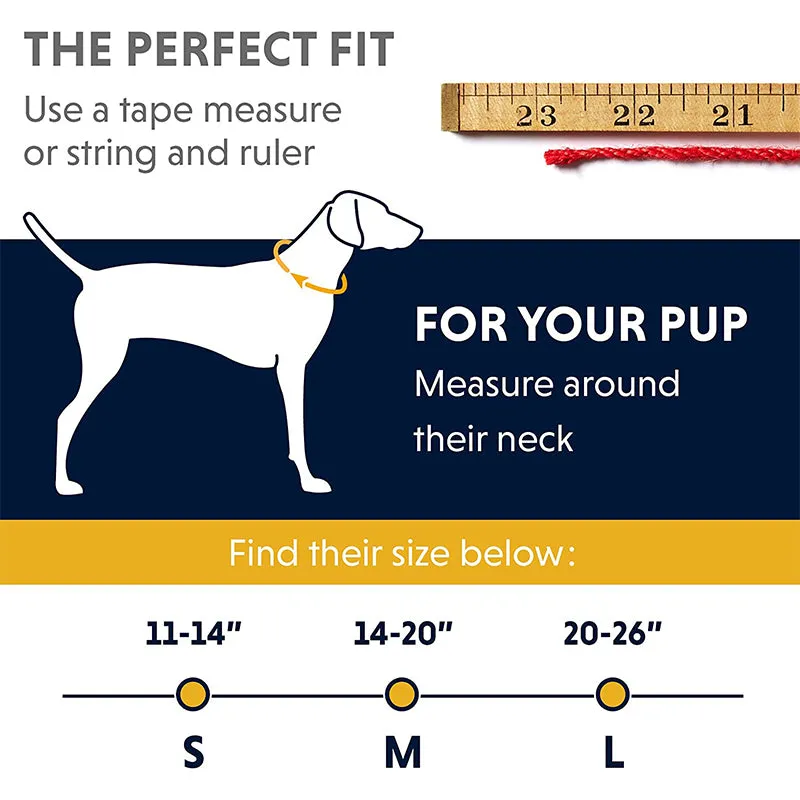 Ruffwear Top Rope Collar for Dogs