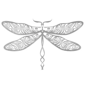 Silver Dragonfly