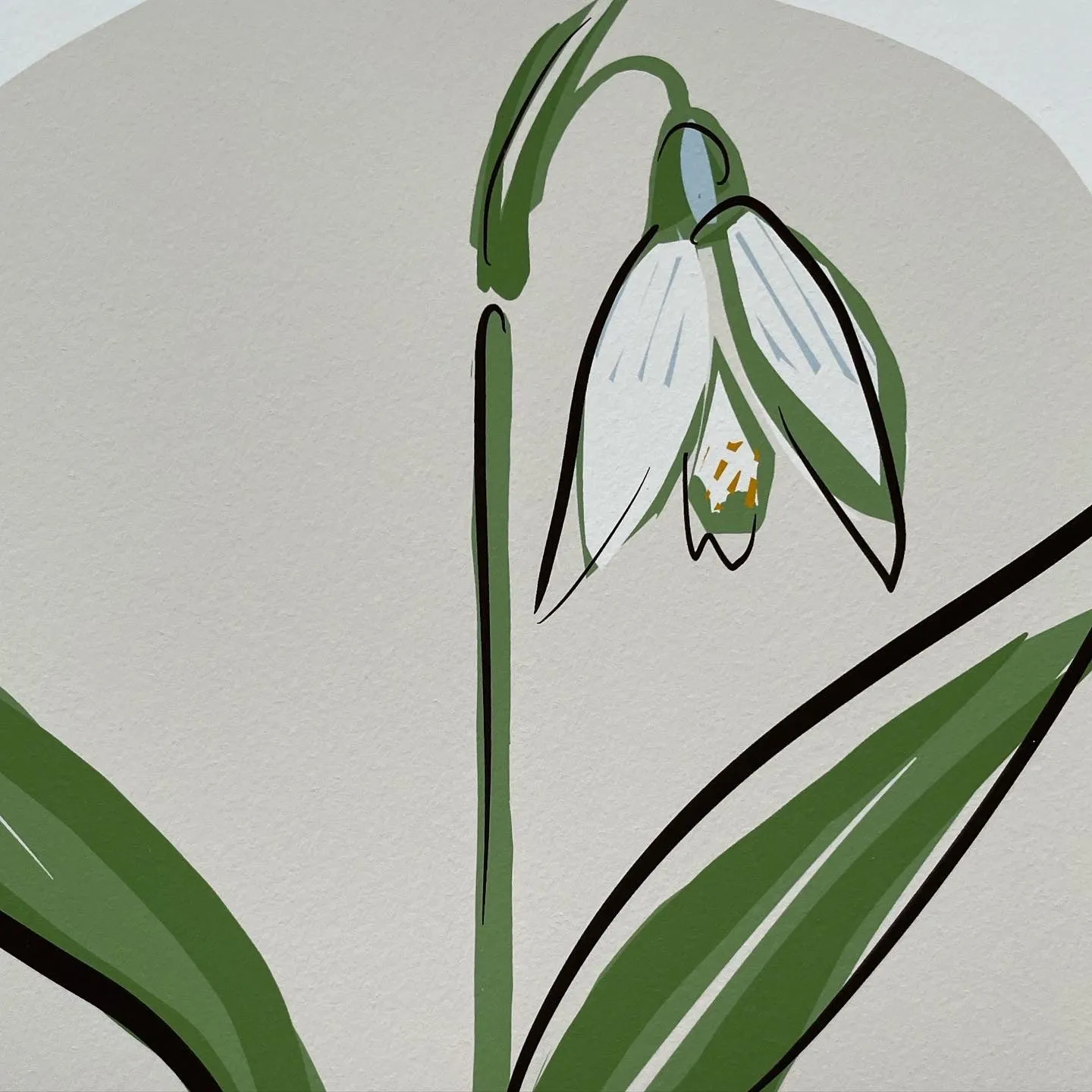 SNOWDROP - FRAMED GICLEE PRINT