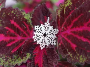 Snowflake necklace