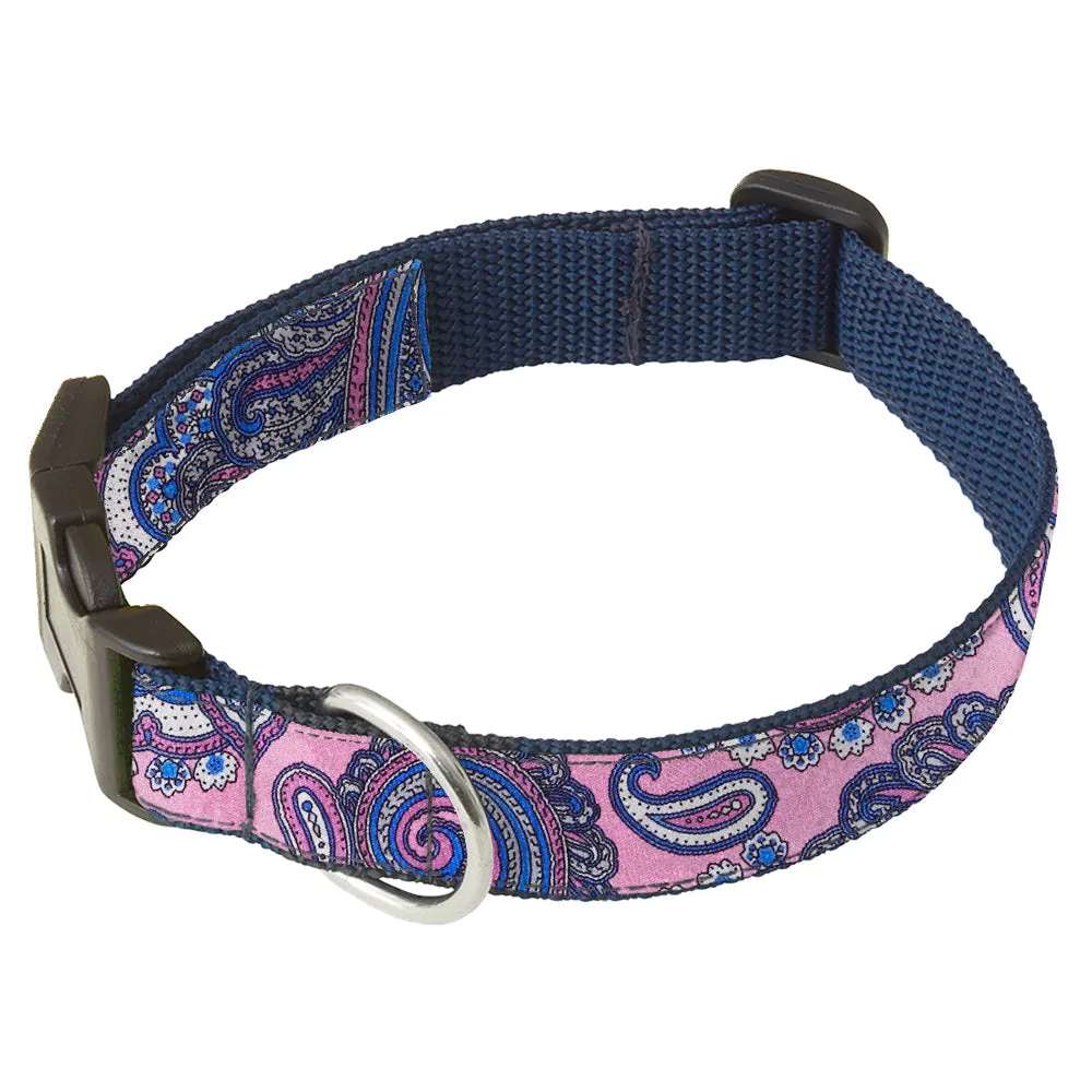 Tessino - Dog Collar