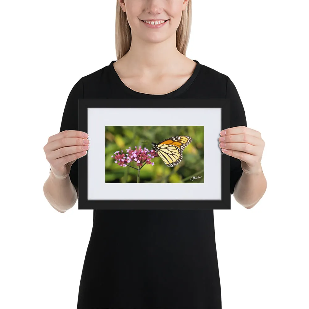 The Royal Monarchy Framed Print