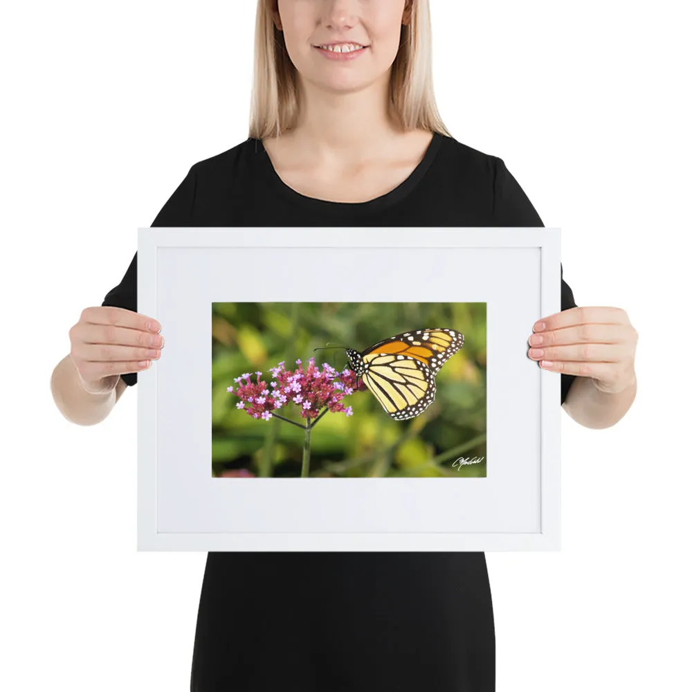 The Royal Monarchy Framed Print