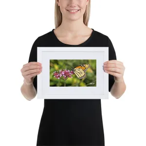The Royal Monarchy Framed Print