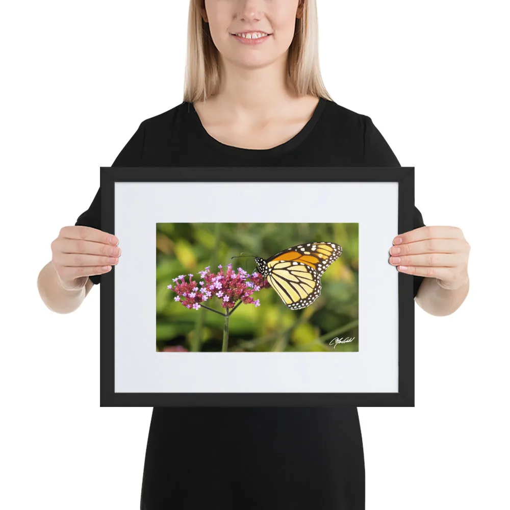 The Royal Monarchy Framed Print