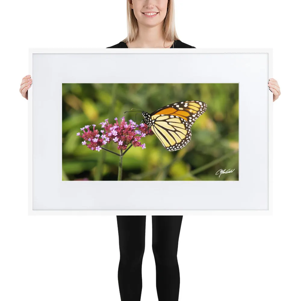 The Royal Monarchy Framed Print