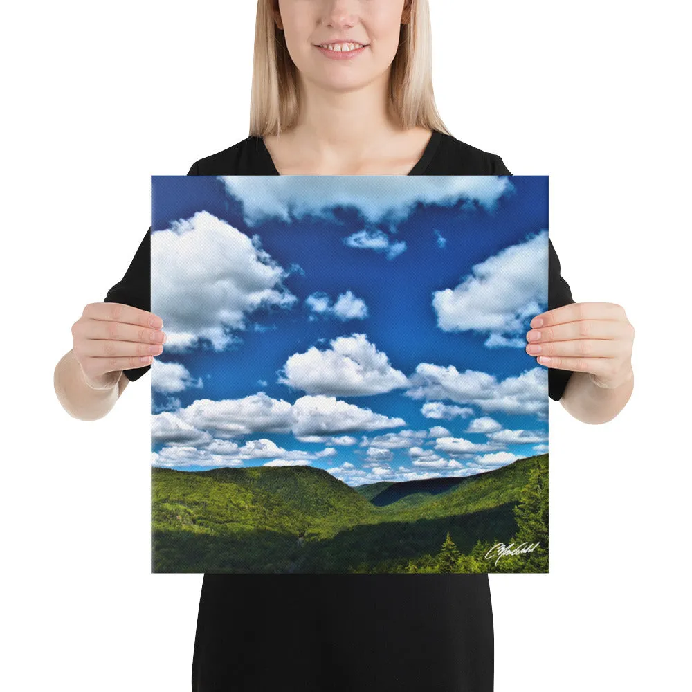 The Skies So Blue Canvas