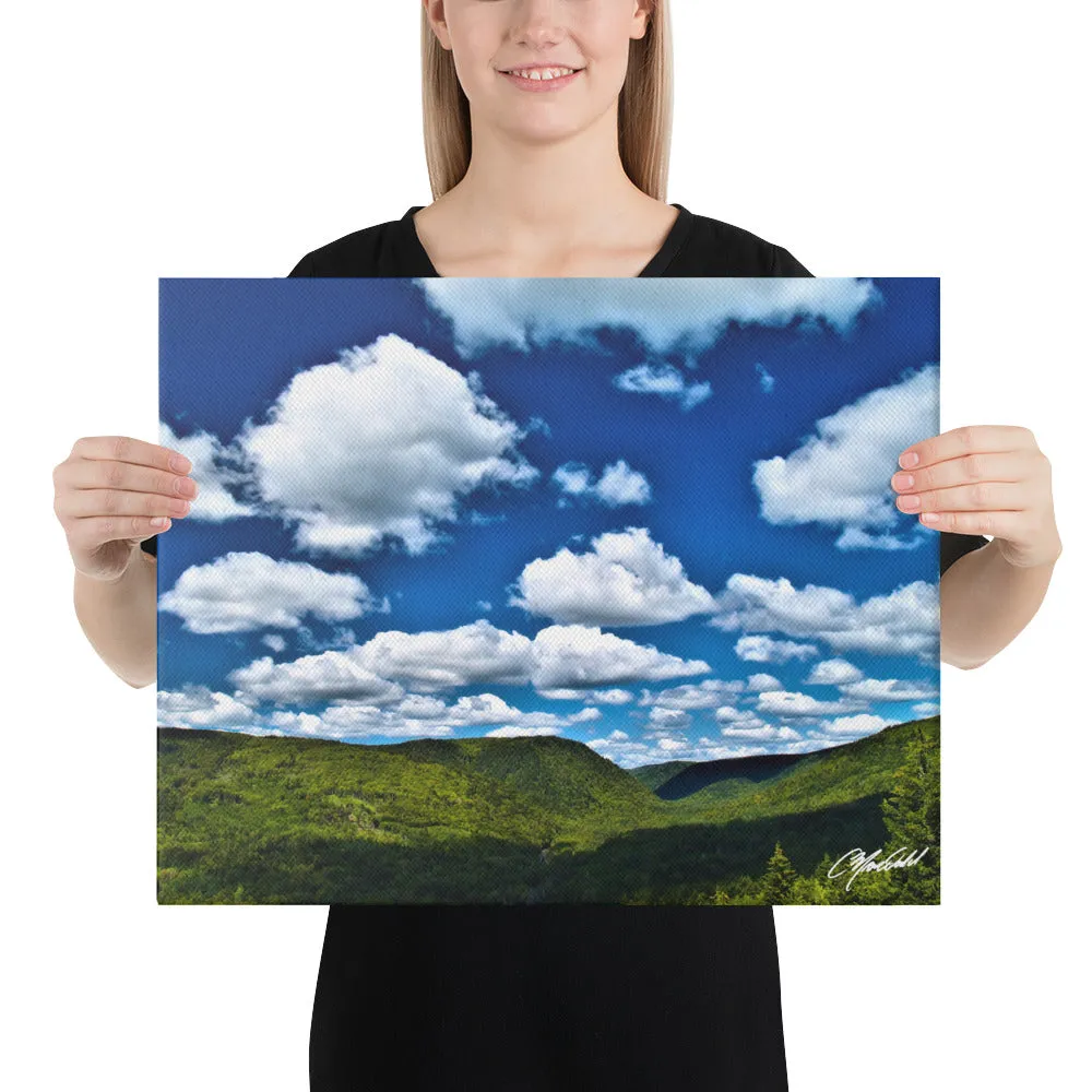 The Skies So Blue Canvas