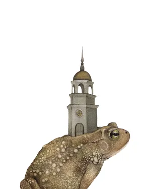 Toad and the Tower 8x10 Print