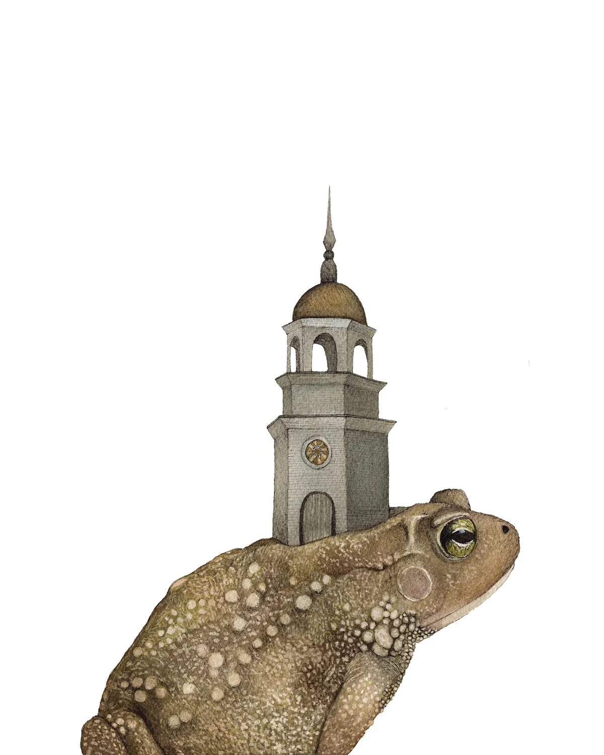 Toad and the Tower 8x10 Print