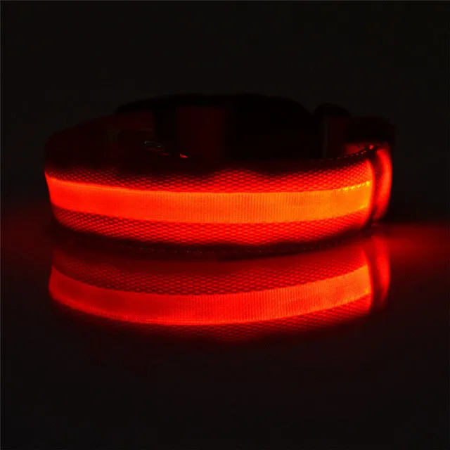 USB Rechargeable LED Dog Collar
