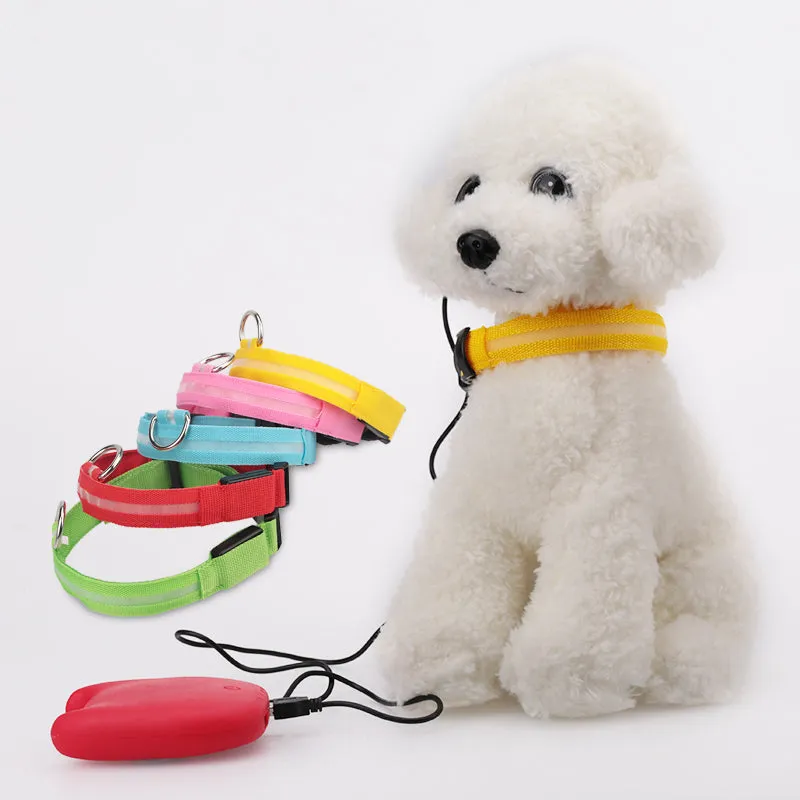 USB Rechargeable LED Dog Collar