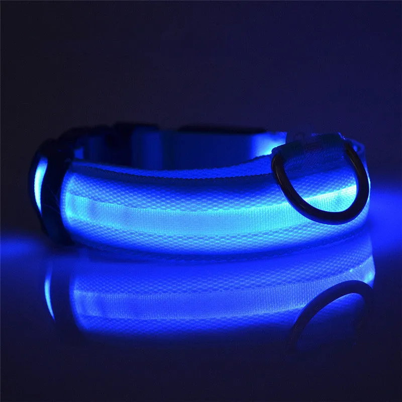USB Rechargeable LED Dog Collar