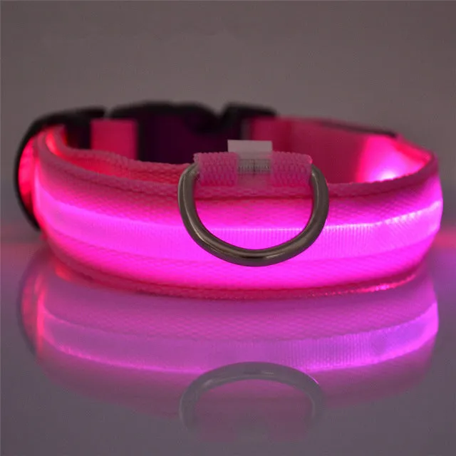 USB Rechargeable LED Dog Collar