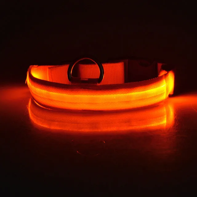 USB Rechargeable LED Dog Collar
