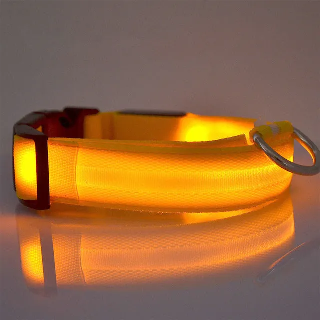 USB Rechargeable LED Dog Collar