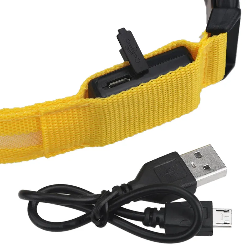 USB Rechargeable LED Dog Collar
