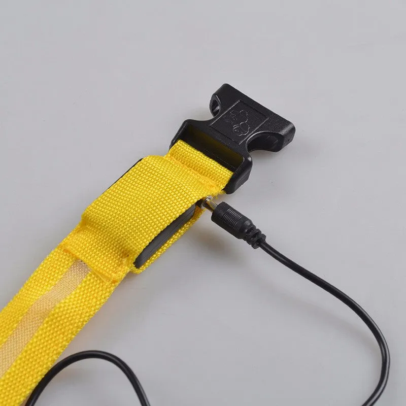 USB Rechargeable LED Dog Collar