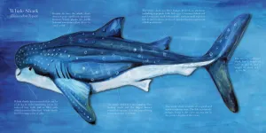 Whale Shark