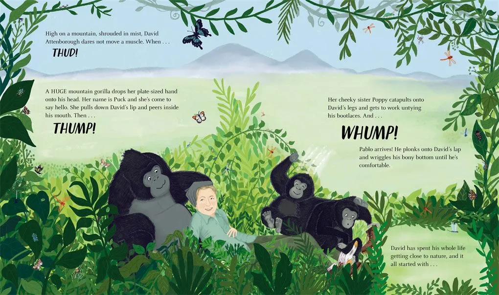 WILD LIFE (DAVID ATTENBOROUGH) (HB)