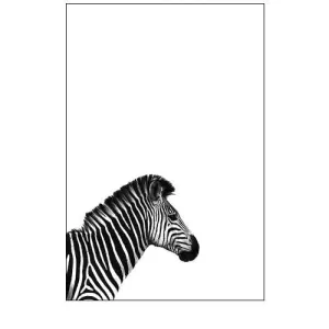 Zebra 2